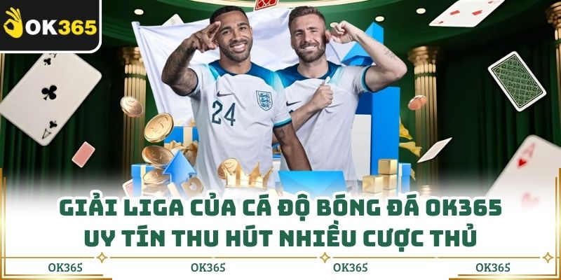 Giải liga của cá độ bóng đá OK365 uy tín thu hút nhiều cược thủ
